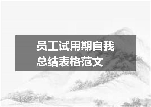 员工试用期自我总结表格范文