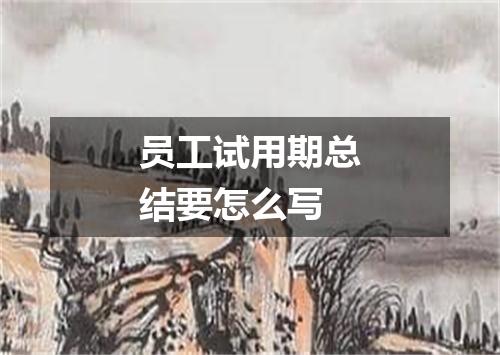 员工试用期总结要怎么写