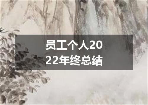 员工个人2022年终总结