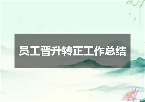 员工晋升转正工作总结