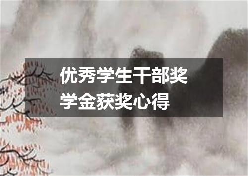 优秀学生干部奖学金获奖心得