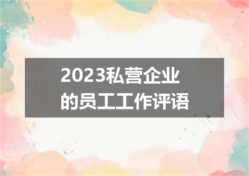 2023私营企业的员工工作评语