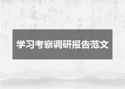 学习考察调研报告范文