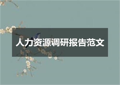 人力资源调研报告范文