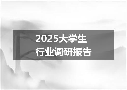 2025大学生行业调研报告