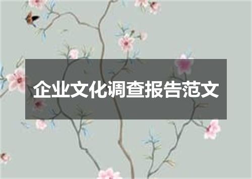 企业文化调查报告范文