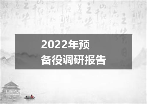 2022年预备役调研报告