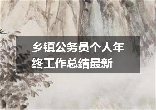 乡镇公务员个人年终工作总结最新