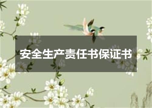安全生产责任书保证书