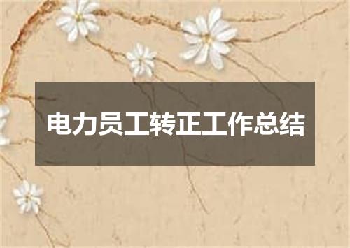 电力员工转正工作总结