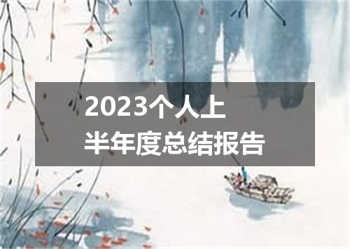 2023个人上半年度总结报告