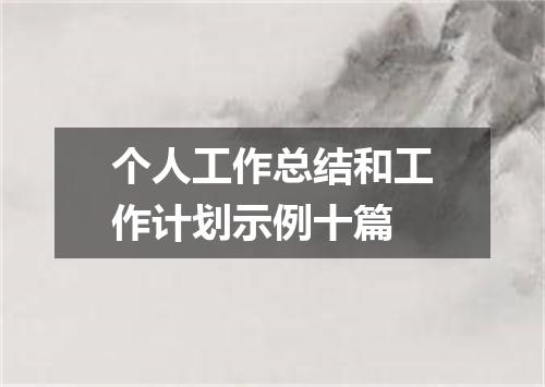 个人工作总结和工作计划示例十篇