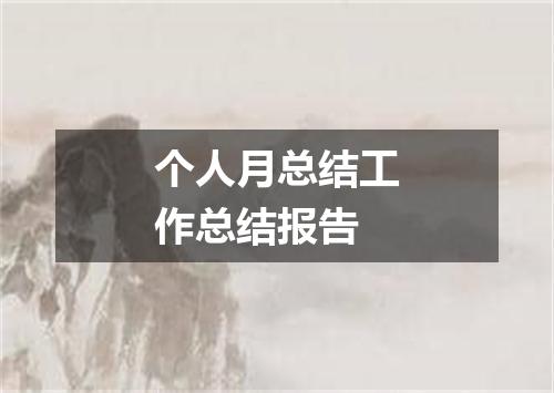 个人月总结工作总结报告