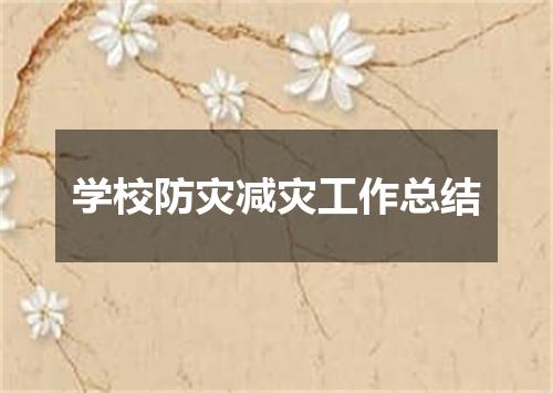 学校防灾减灾工作总结