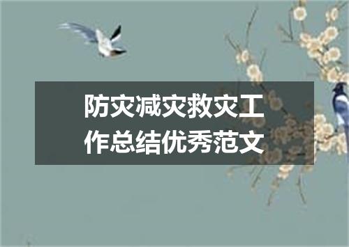 防灾减灾救灾工作总结优秀范文