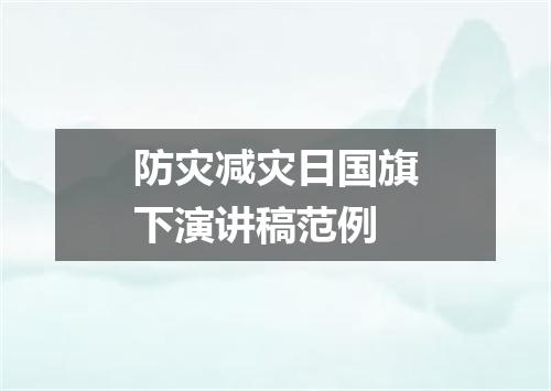 防灾减灾日国旗下演讲稿范例
