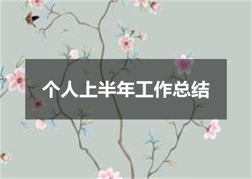 个人上半年工作总结