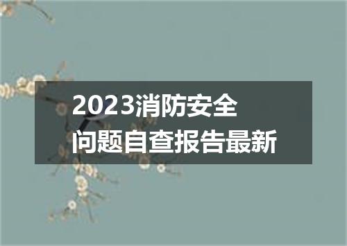 2023消防安全问题自查报告最新