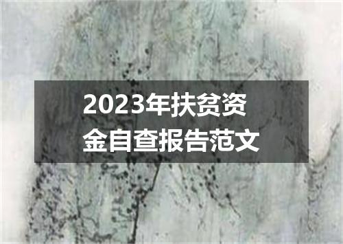 2023年扶贫资金自查报告范文