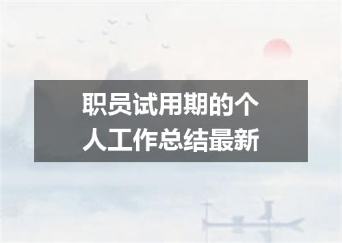 职员试用期的个人工作总结最新