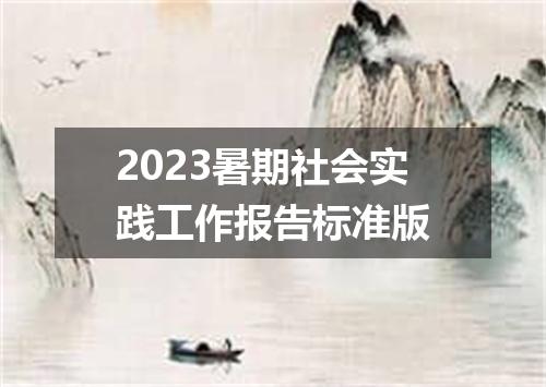 2023暑期社会实践工作报告标准版