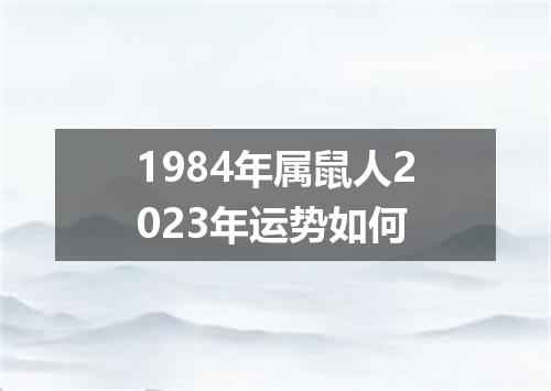 1984年属鼠人2023年运势如何