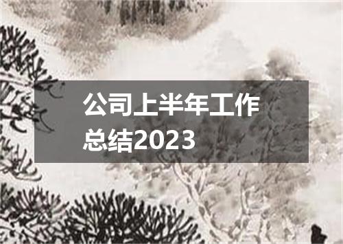公司上半年工作总结2023