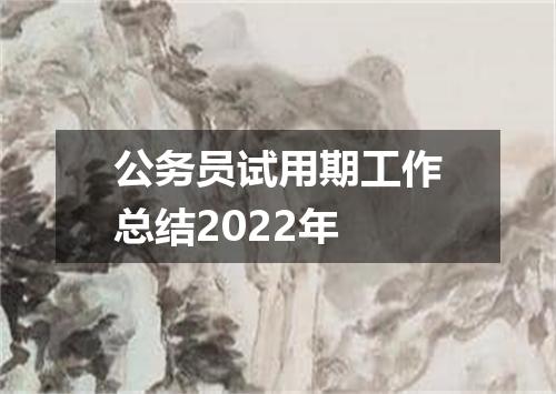公务员试用期工作总结2022年