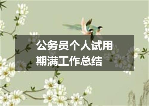 公务员个人试用期满工作总结