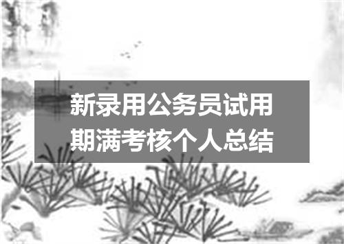 新录用公务员试用期满考核个人总结