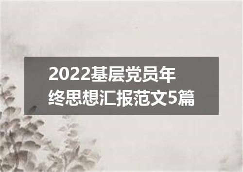 2022基层党员年终思想汇报范文5篇