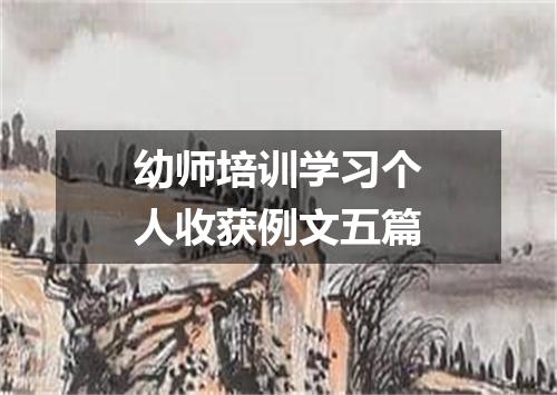 幼师培训学习个人收获例文五篇