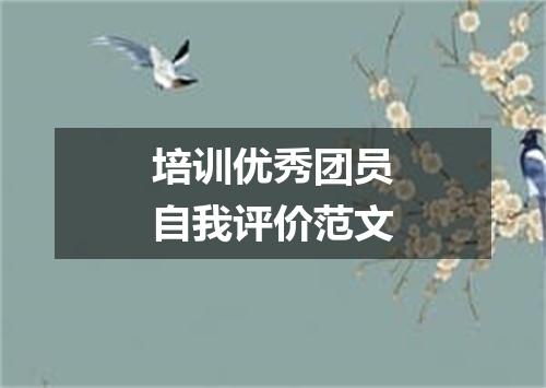 培训优秀团员自我评价范文