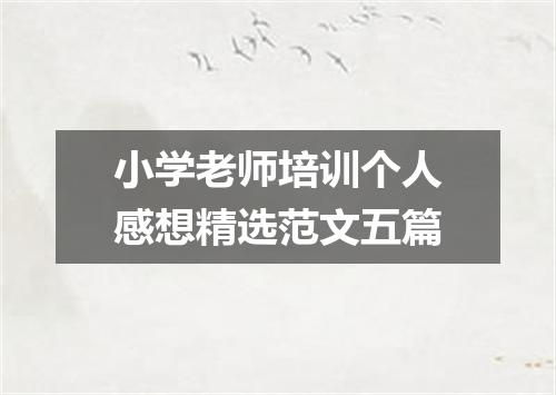 小学老师培训个人感想精选范文五篇