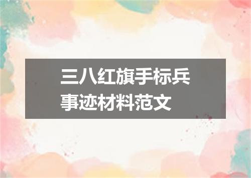 三八红旗手标兵事迹材料范文