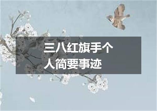 三八红旗手个人简要事迹