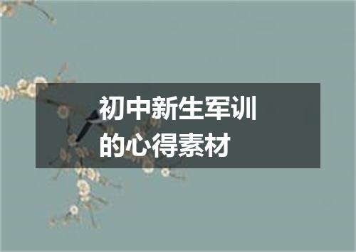 初中新生军训的心得素材