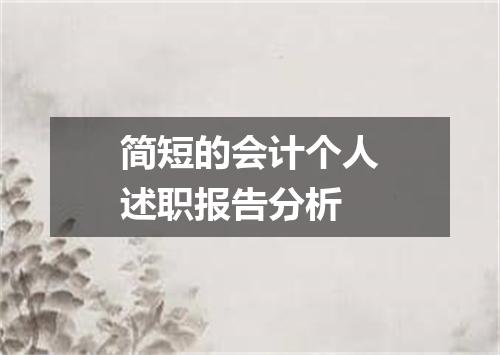 简短的会计个人述职报告分析