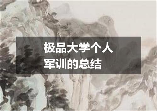 极品大学个人军训的总结