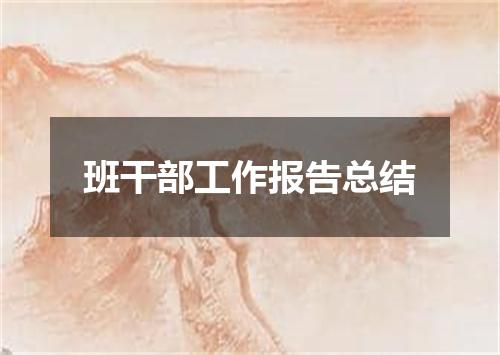 班干部工作报告总结