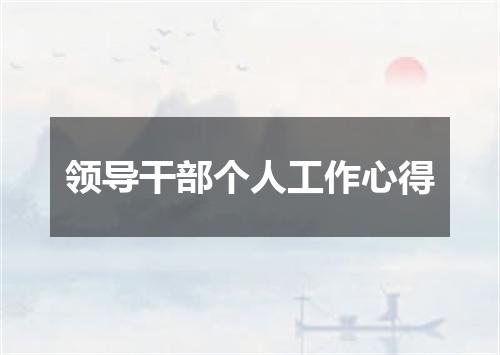 领导干部个人工作心得