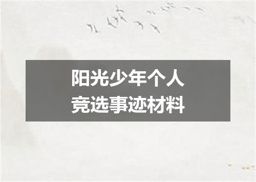 阳光少年个人竞选事迹材料