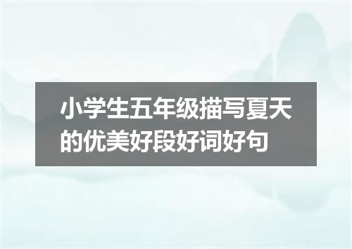 小学生五年级描写夏天的优美好段好词好句