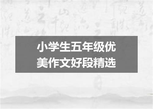 小学生五年级优美作文好段精选