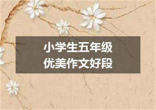 小学生五年级优美作文好段