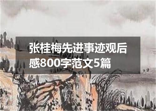张桂梅先进事迹观后感800字范文5篇