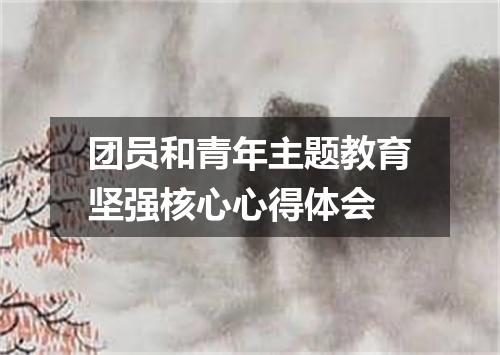 团员和青年主题教育坚强核心心得体会