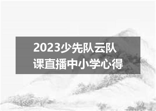 2023少先队云队课直播中小学心得
