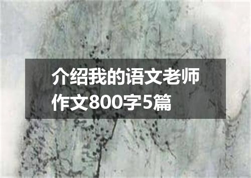 介绍我的语文老师作文800字5篇