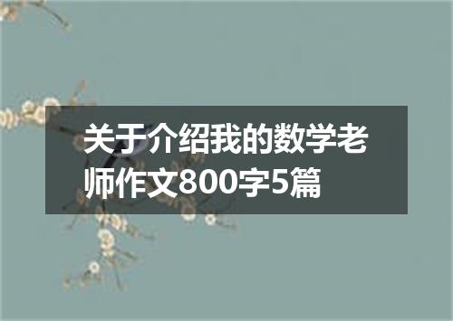 关于介绍我的数学老师作文800字5篇